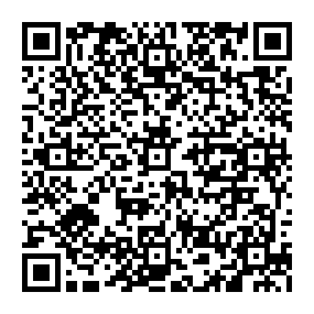 vCard 79236379483