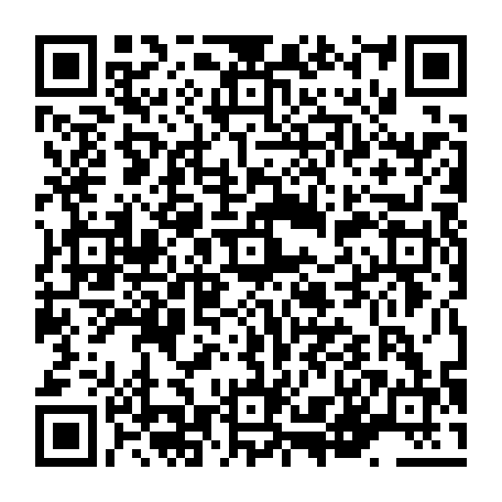 vCard 79236380017
