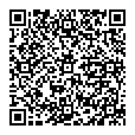 vCard 79236380029