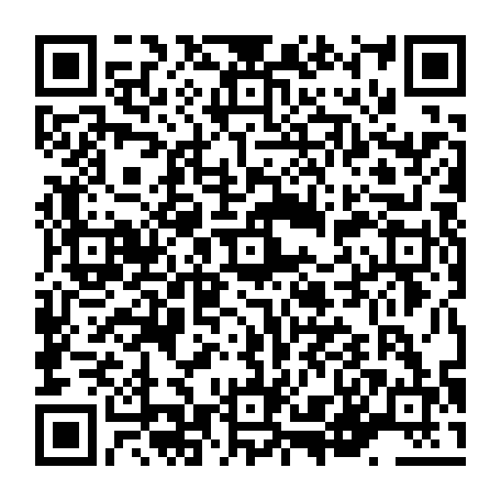 vCard 79236380079