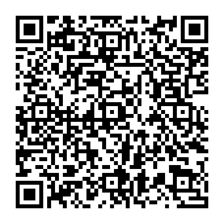 vCard 79236380110