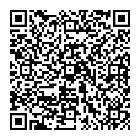 vCard 79236380133