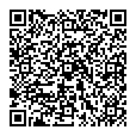 vCard 79236380353