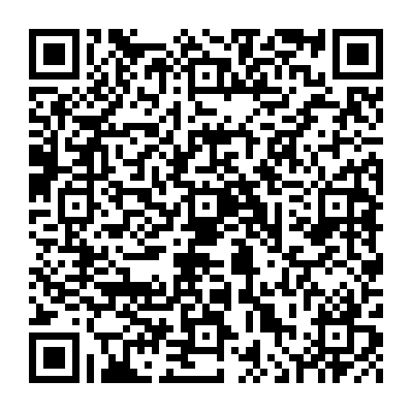 vCard 79236380387