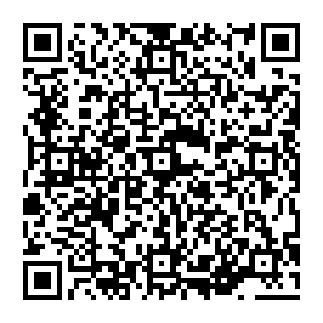 vCard 79236380402