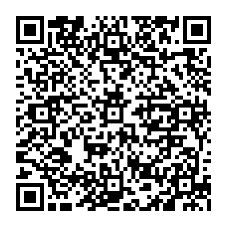 vCard 79236380411
