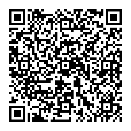 vCard 79236380817