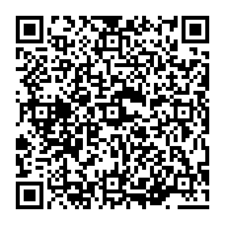 vCard 79236381113