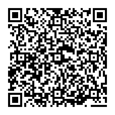 vCard 79236381295