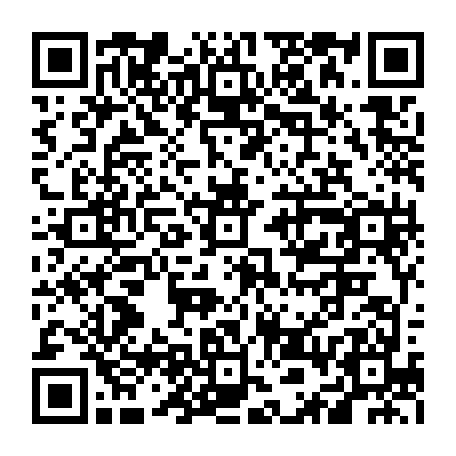 vCard 79236381332