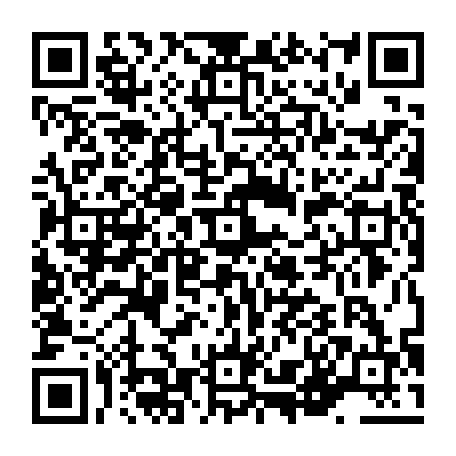 vCard 79236381335