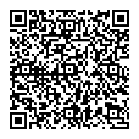 vCard 79236381379