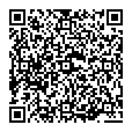 vCard 79236381381