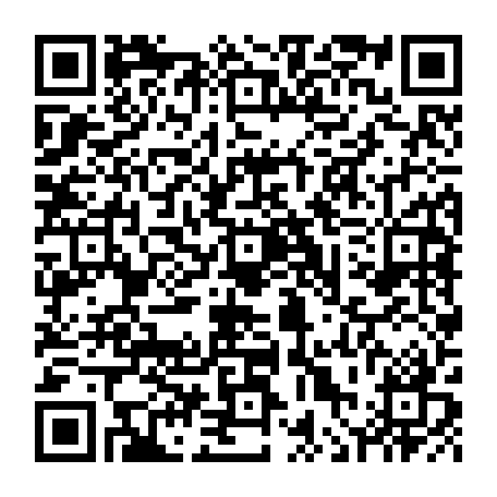 vCard 79236381385