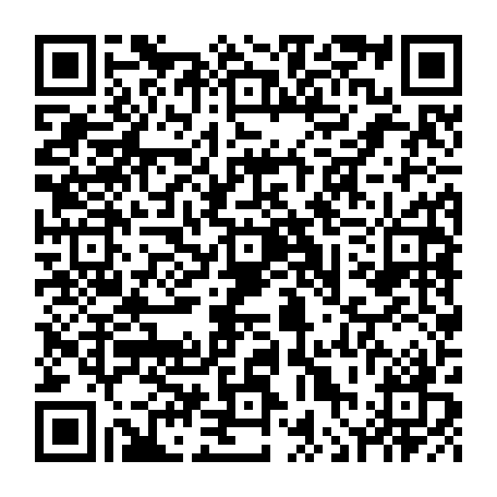 vCard 79236381463