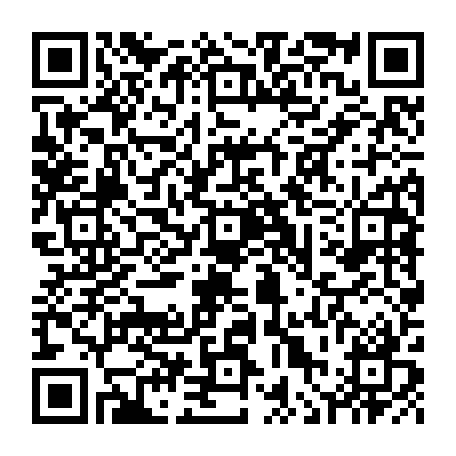 vCard 79236381473