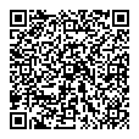 vCard 79236381497