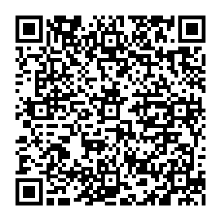 vCard 79236381523