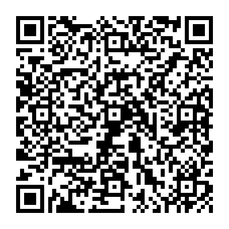 vCard 79236381631