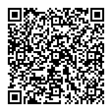vCard 79236381729