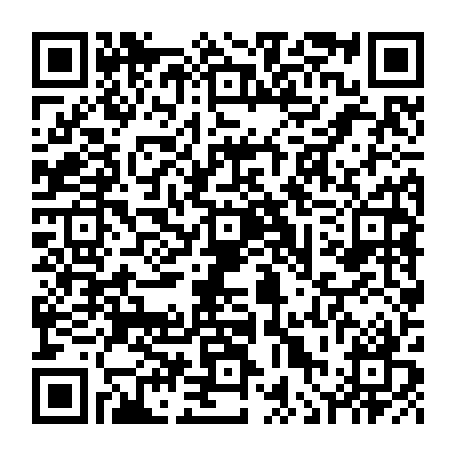 vCard 79236381731