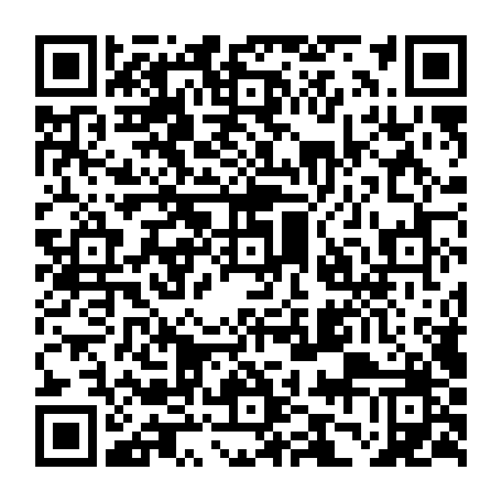 vCard 79236382273