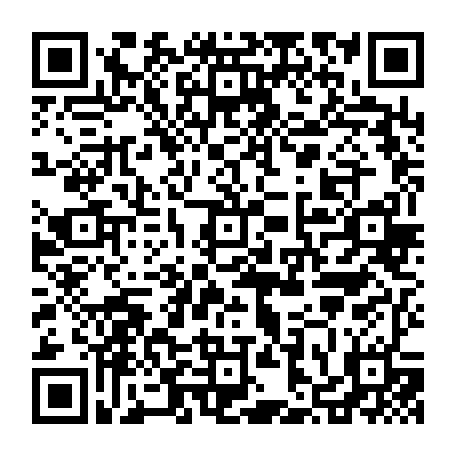 vCard 79236382353