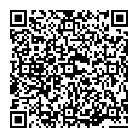 vCard 79236382513
