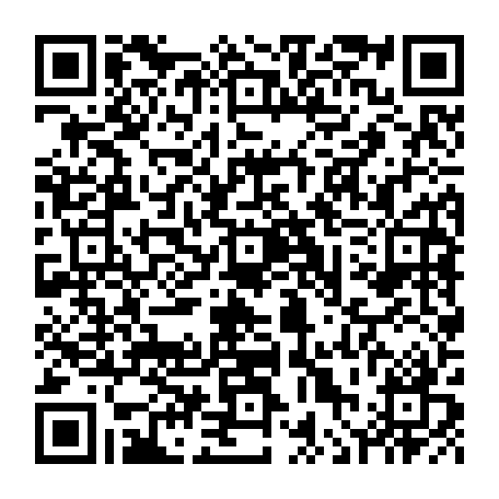 vCard 79236382589