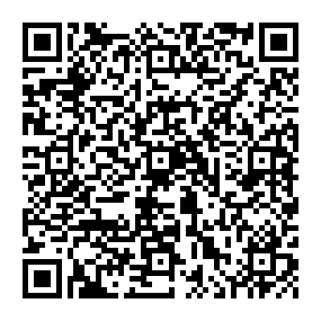 vCard 79236382719