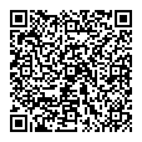 vCard 79236382909