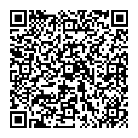 vCard 79236383017