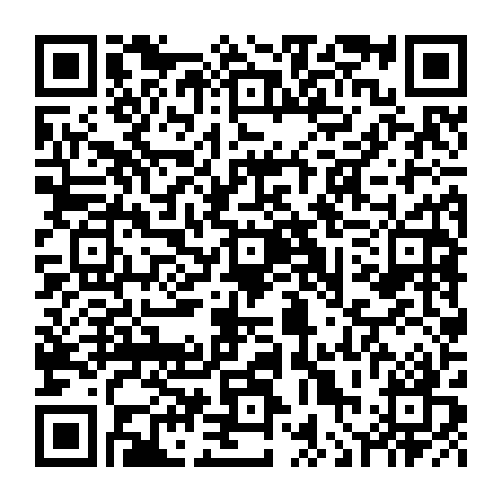vCard 79236383037