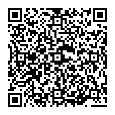 vCard 79236390003
