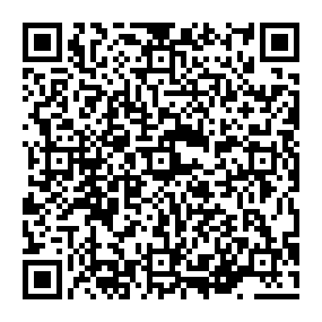 vCard 79236393217