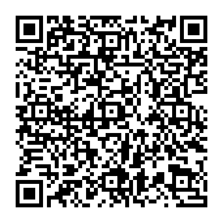 vCard 79236393333