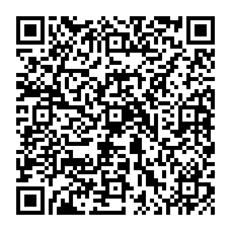 vCard 79236393519