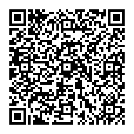 vCard 79236393533