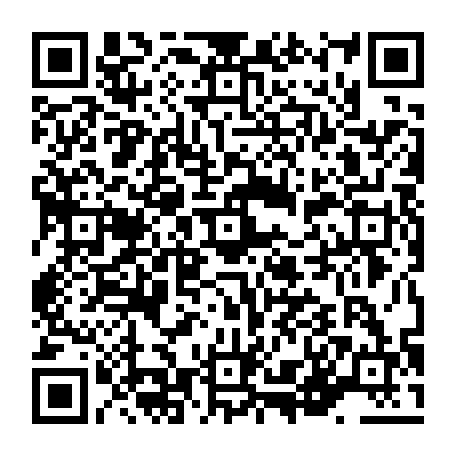 vCard 79236395968