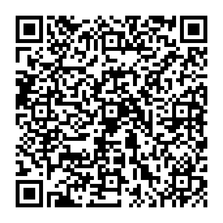 vCard 79236396339