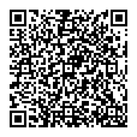 vCard 79236619339