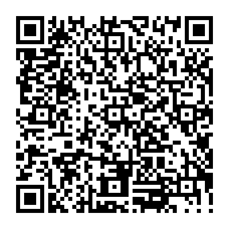 vCard 79236678373