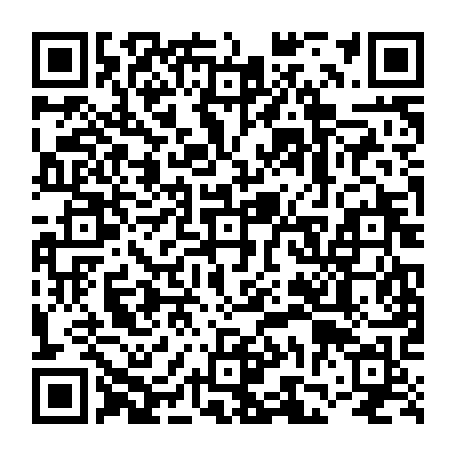 vCard 79236730329