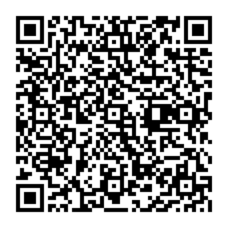 vCard 79236730483
