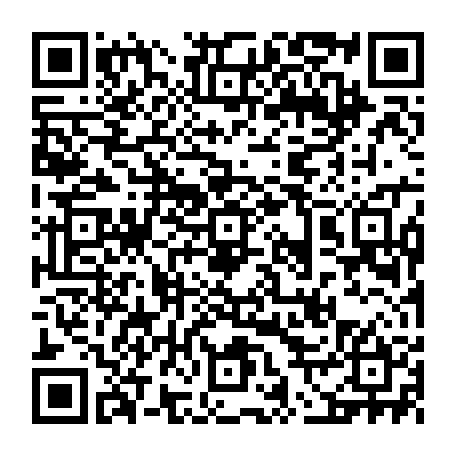 vCard 79236730687