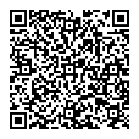 vCard 79236731529
