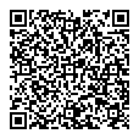 vCard 79236731968