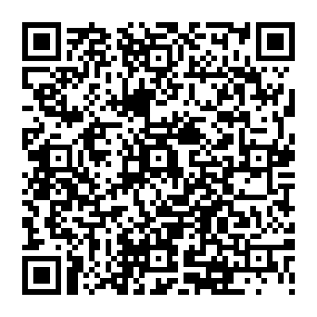 vCard 79236732177