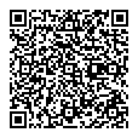vCard 79236733333