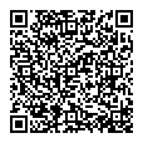 vCard 79236733337